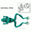 Natural Frog