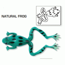 Natural Frog