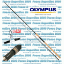 Caña Olympus Teknos Spinca